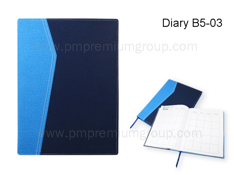 Diary B5-03
